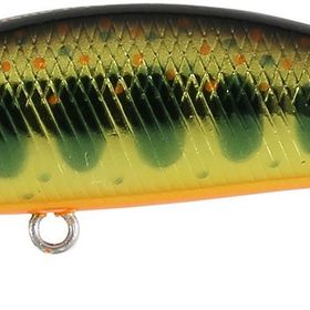 Duo Spearhead Ryuki 50S Takumi MCC4084 Gold Yamame Suni Balık Yemi
