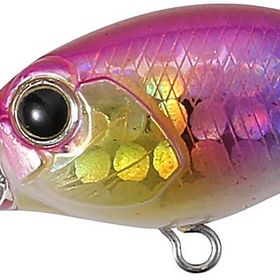 Duo Tetra Works Poco Poco 40F Popper AQA0313 Pink Candy Gb Suni Yem