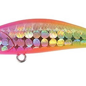 Duo Tetra Works Toto 42S Lrf Yemi GQA0113 Double Pink C. Suni Yem