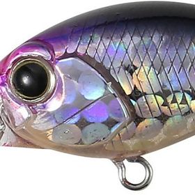 Duo Tetra Works Toto Shad 48S Lrf Yemi GQA0122 Black B. Suni Yem