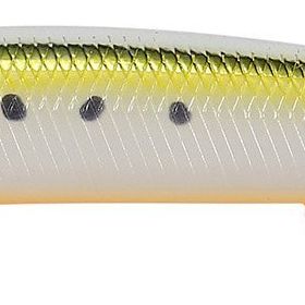 Duo Tide Minnow Slim Flyer 140 AST0333 Gold Sardine Suni Yem