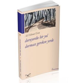 Duruyordu Bir Yol Durması Gereken Yerde - Ali Hikmet Eren