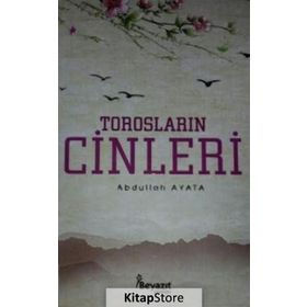 Düş Önüme Yalnızlığım / Abdullah Ayata