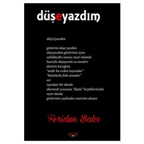 Düşeyazdım - Feridun Balcı