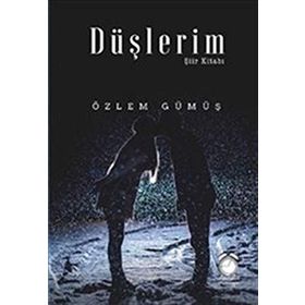 Düşlerim Şiir Kitabı - Özlem Gümüş