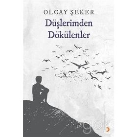 Düşlerimden Dökülenler - Olcay Şeker