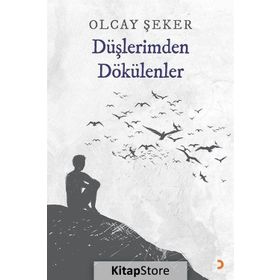 Düşlerimden Dökülenler - Olcay Şeker
