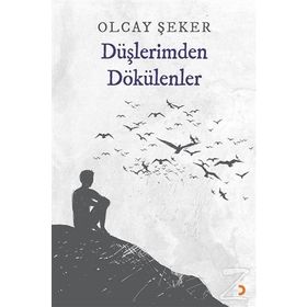 Düşlerimden Dökülenler - Olcay Şeker
