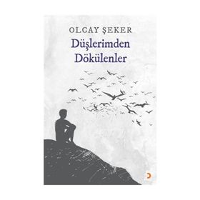 Düşlerimden Dökülenler - Olcay Şeker