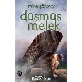 Düşmüş Melek - Mina Gökova