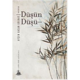 Düşün Düşü - Ayşen Gacan Gülbağ