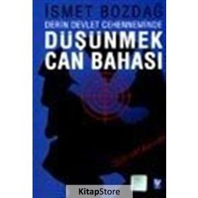 DÜŞÜNMEK CAN BAHASI DERIN DEVLET CEHENNEMINDE - İSMET BOZDAĞ