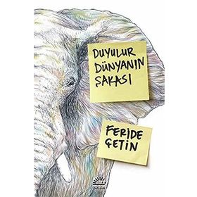 Duyulur Dünyanın Şakası / Feride Çetin