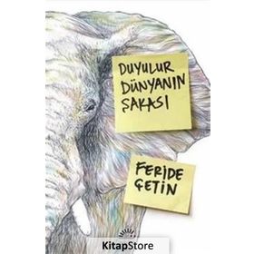 Duyulur Dünyanın Şakası / Feride Çetin