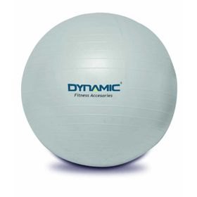 Dynamic Gymball 65 cm Gri Pilates Topu