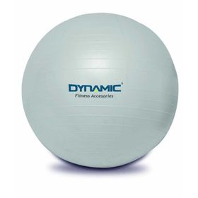 Dynamic Gymball 65 cm Gri Pilates Topu