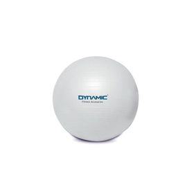 Dynamic Gymball 65 cm Gri Pilates Topu