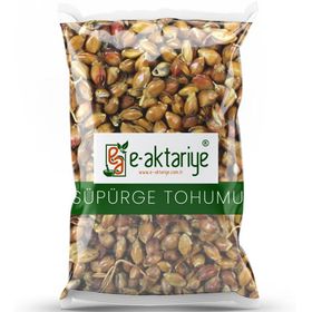 E-Aktariye 100 gr Süpürge Tohumu