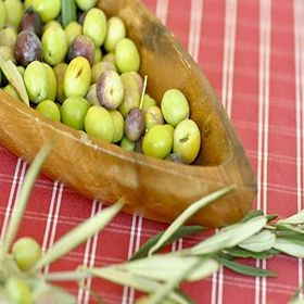 E-Fidancım Ayvalık Edremit 1 Yaş Zeytin Fidanı