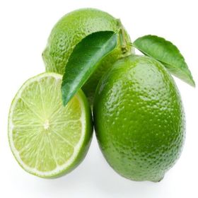 E-Fidancım Çekirdeksiz Tahiti Lime Limequat Fidanı