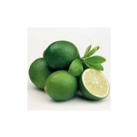 E-Fidancım Çekirdeksiz Tahiti Lime Limequat Fidanı