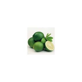 E-Fidancım Çekirdeksiz Tahiti Lime Limequat Fidanı