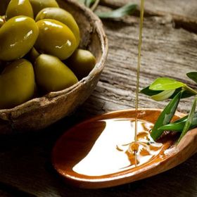 E-Fidancım Sarı Ulak Zeytin Fidanı