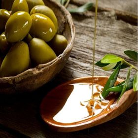 E-Fidancım Sarı Ulak Zeytin Fidanı