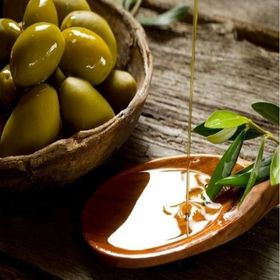 E-Fidancım Sarı Ulak Zeytin Fidanı