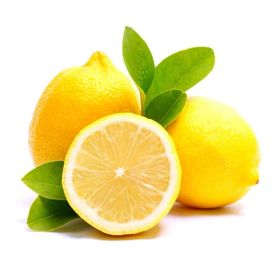 E-Fidancim Tüplü Aydın Limon Fidanı