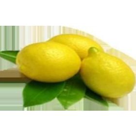 E-Fidancim Tüplü Aydın Limon Fidanı