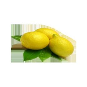 E-Fidancim Tüplü Aydın Limon Fidanı