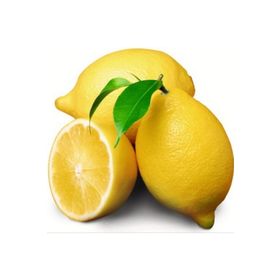 E-Fidancım Tüplü Enter Limon Fidanı