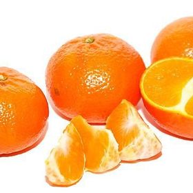 E-Fidancım Tüplü Erkenci Early Em Mandalin Fidanı