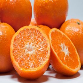 E-Fidancım Tüplü Erkenci Early Em Mandalin Fidanı