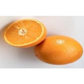 E-Fidancım Tüplü Rize Portakalı Fidanı