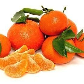 E-Fidancım Tüplü Üzeri Çiçekli Meyve Verme Durumunda W.Murcot Mandalin Fidanı