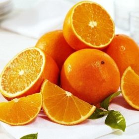 E-Fidancım Tüplü Valencia Portakal Fidanı