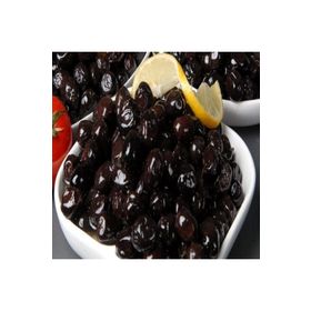 E-Fidancımgemlik Salamuralık Trilye 1 Yaş Zeytin Fidanı