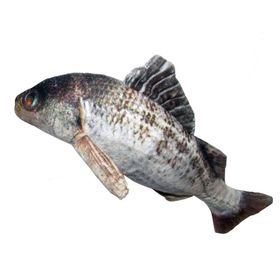 Eastland 20 cm Levrek Peluş Oyncak