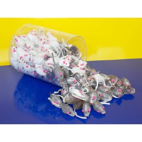 Eastland 220'li 5 cm Oyuncak Fare