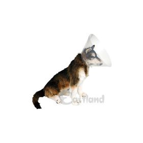 Eastland 30 cm Yakalık