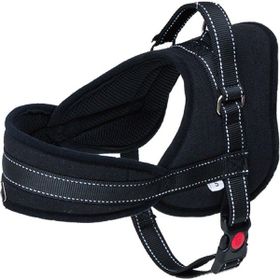 Eastland Çekmeyi Önleyici Reflektörlü 2.5x65-80 cm Köpek Göğüs Tasması