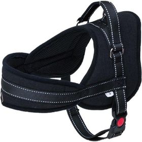 Eastland Çekmeyi Önleyici Reflektörlü 2.5x65-80 cm Köpek Göğüs Tasması