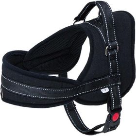 Eastland Çekmeyi Önleyici Reflektörlü 2.5x65-80 cm Köpek Göğüs Tasması