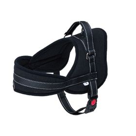 Eastland Çekmeyi Önleyici Reflektörlü 2.5x70-90 cm Köpek Göğüs Tasması