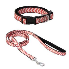 Eastland Çizgili 30 cm Kedi Boyun Tasması Seti