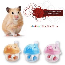 Eastland Hamster Evi