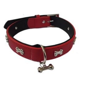 Eastland Kemik Desenli Köpek Tasması