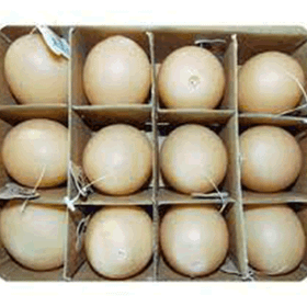 Eastland Plastik Yumurta 12'li 5 cm Köpek Oyuncağı